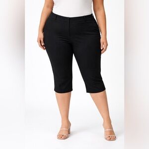 Reitmans Black Cropped Stretch High Rise Dress Pants capris Plus size 20 P New